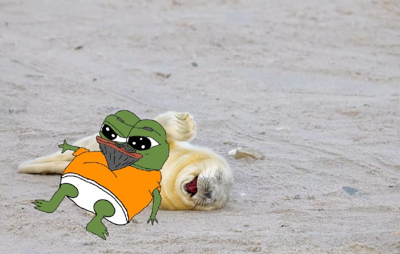 Pepe the frog | BLOG