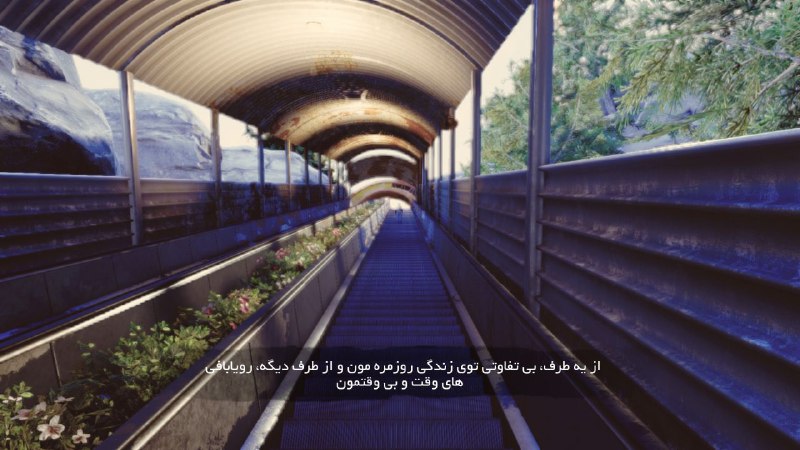 پرشین لینگو | PersianLingo