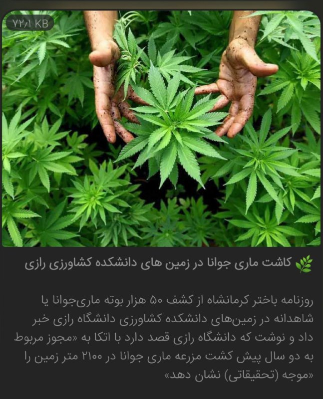 به به بسیار هم عالی!