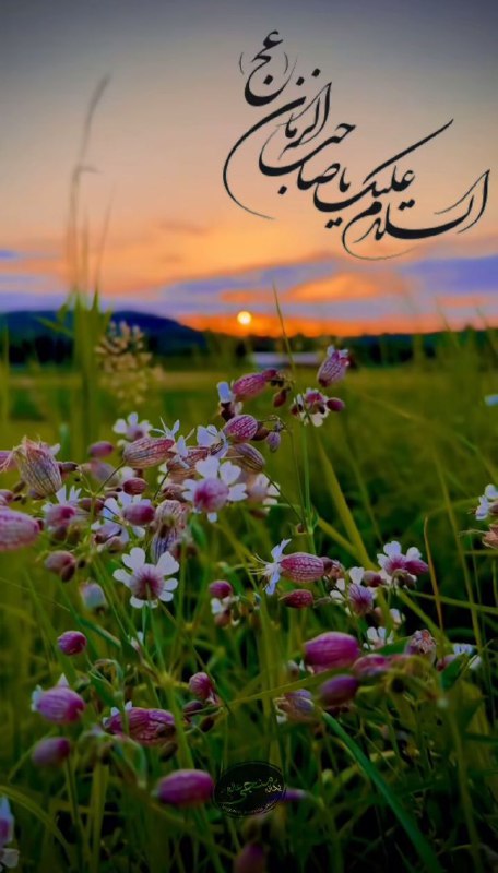 [#سلام\_مولای\_مهربانم](?q=%23%D8%B3%D9%84%D8%A7%D9%85_%D9%85%D9%88%D9%84%D8%A7%DB%8C_%D9%85%D9%87%D8%B1%D8%A8%D8%A7%D9%86%D9%85)***♥️***