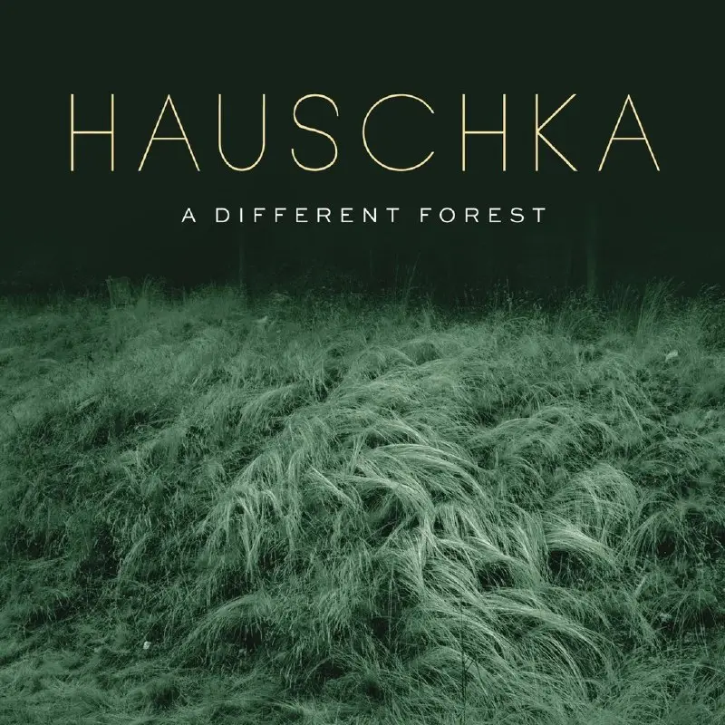 [​​](https://t.me/iv?url=https%3A%2F%2Fpesnipesni.tumblr.com%2Fpost%2F182763443084%2Fhauschka-a-different-forest-2019&amp;rhash=189a83a5dd5637)**♪ Hauschka › A Different Forest** (2019)
