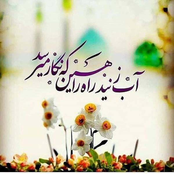 میلاد حضرت قائم بر شما دوستداران …