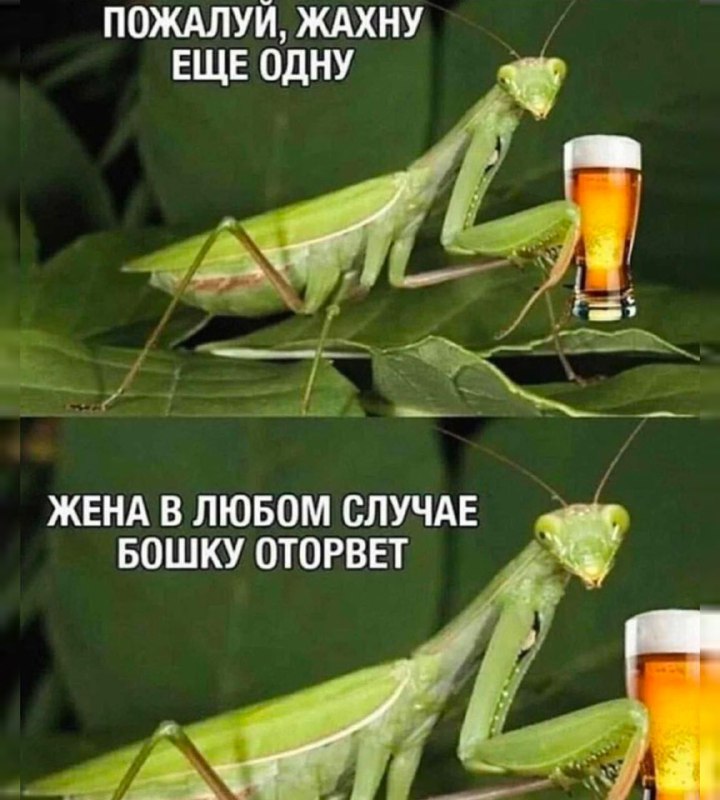 Пет-Продукт