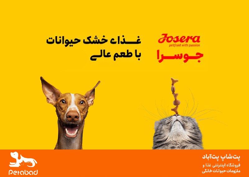 ***😺******🐶*** جوسرا؛ غذای خشک حیوانات خانگی …