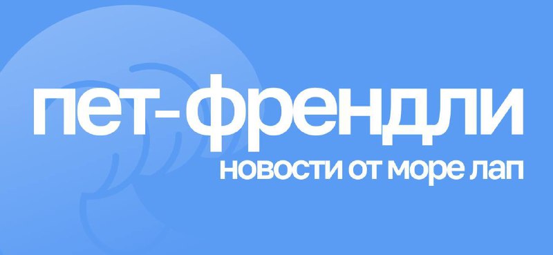 **Последний месяц зимы и года, но …