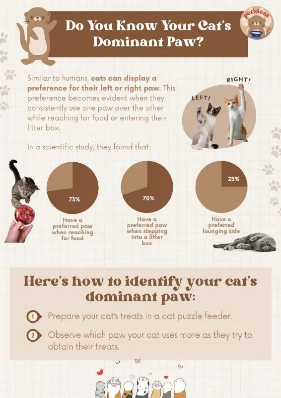 *****😺**********🐾*** Identifying Your Cat's Dominant Paw**