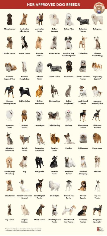 *****🏠*****[**HDB Approved Dog Breeds**](http://bit.ly/3L5zKBl)