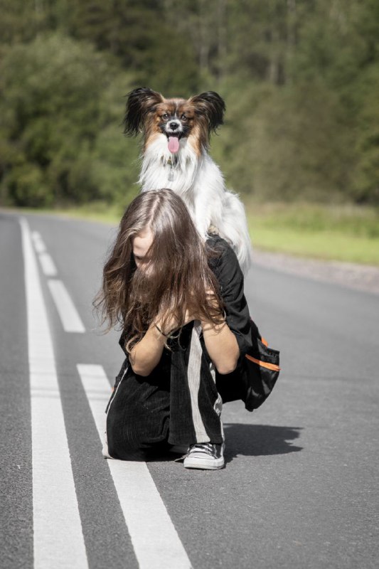 Фотограф-анималист СПБ, Гатчина | PET IN …