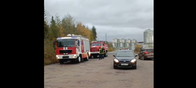 Лес загорелся на окраине Петрозаводска