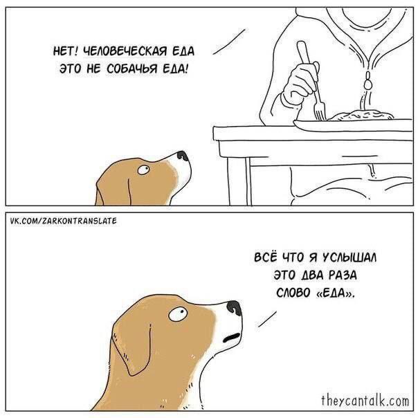 Petros memos