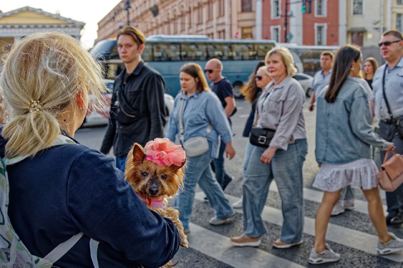 Фотограф Александр Петросян