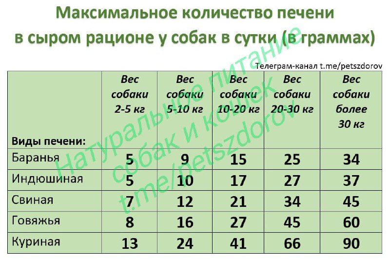 Натуральное питание собак и кошек и …