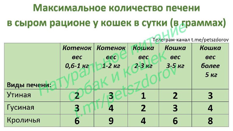 Натуральное питание собак и кошек и …