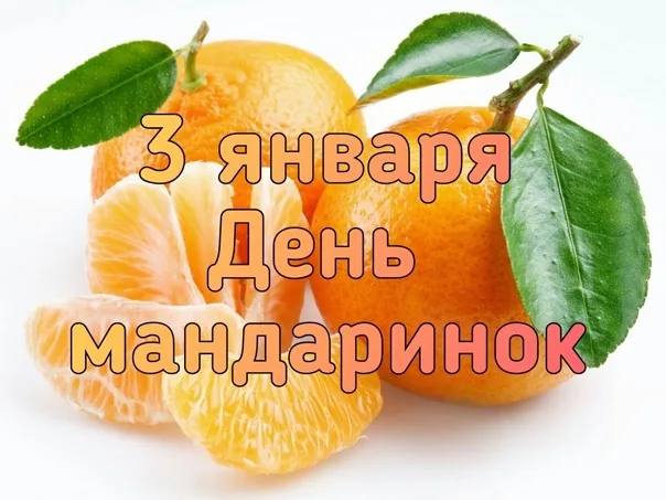 Самое время отметить **День мандаринок**: насладиться …