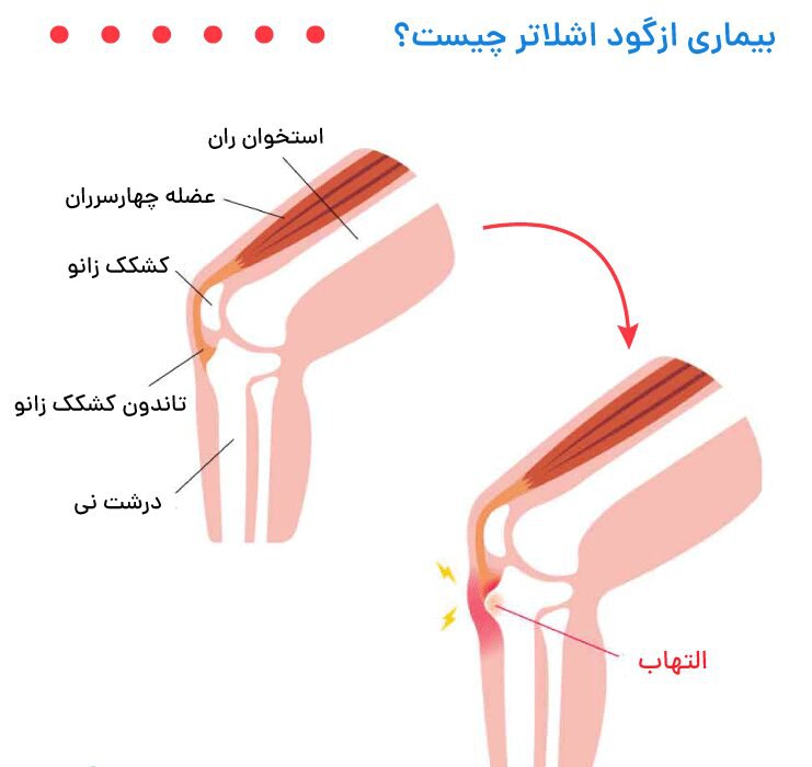 کانال اخبار هیات پزشکی ورزشی استان …