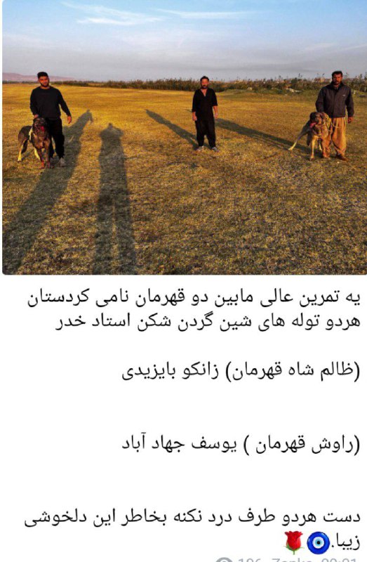 کانال رسمی پژدر بازان روژهلات