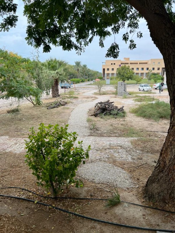 با سلام و احترام،