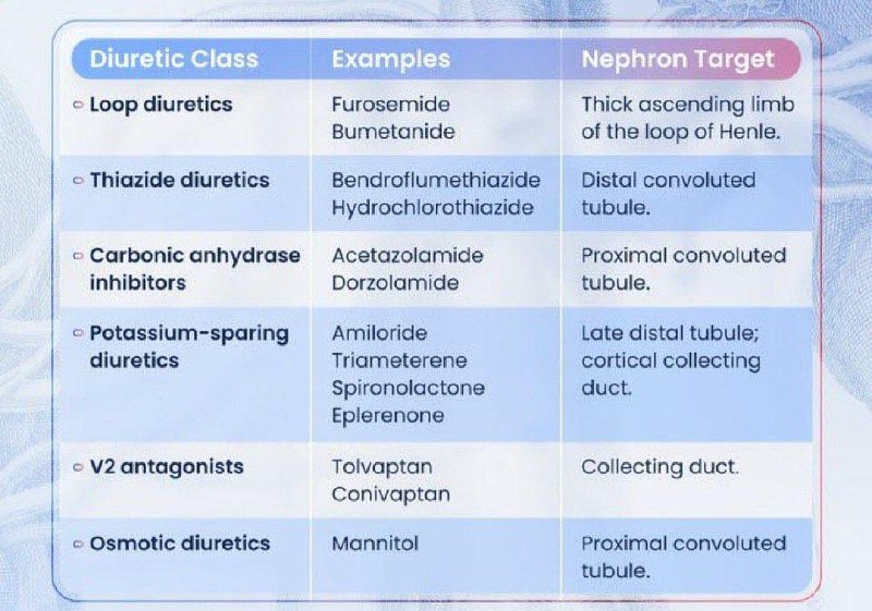 Diuretic Drugs ***💊***