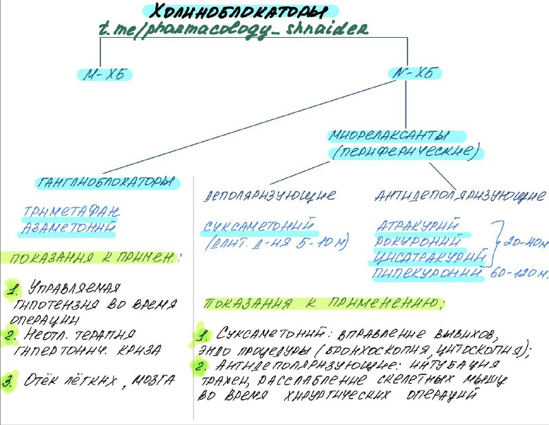 Фармакология К.О.Ш.