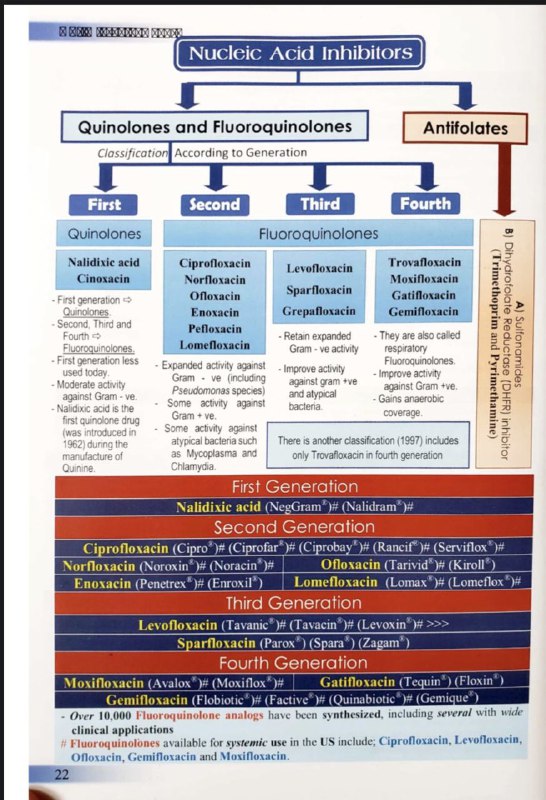 Review of Nucleic Acid Inhibitors