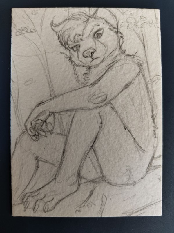 Angy stoat. Another ACEO WIP