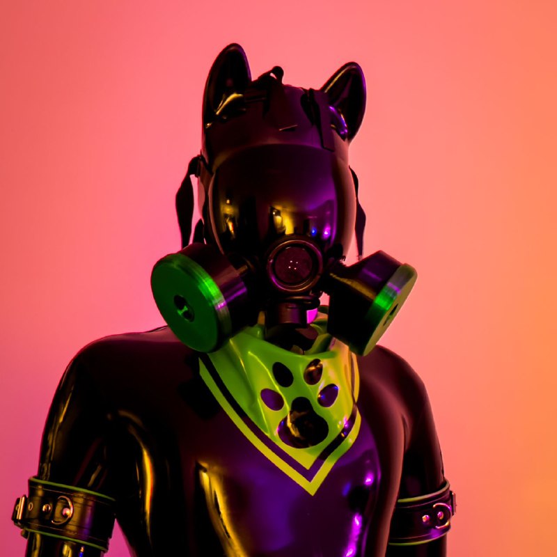if (drone:ready