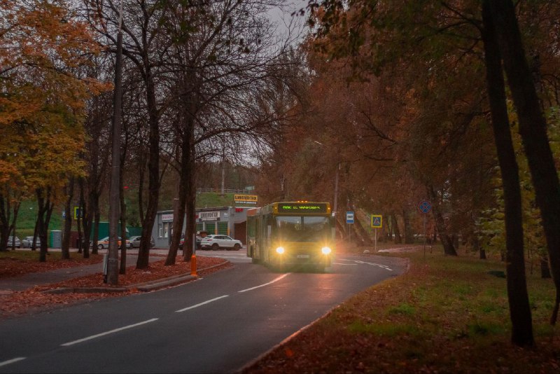 Залатая восень ***🍁***