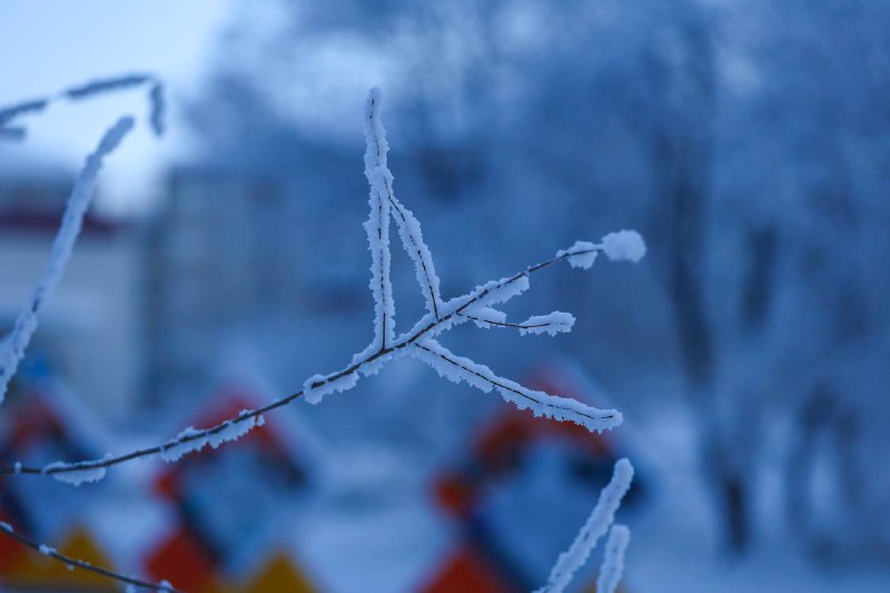 Лешка фотографирует