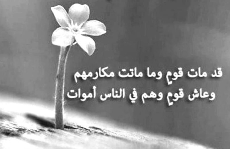 خلفيات صور بروفايل