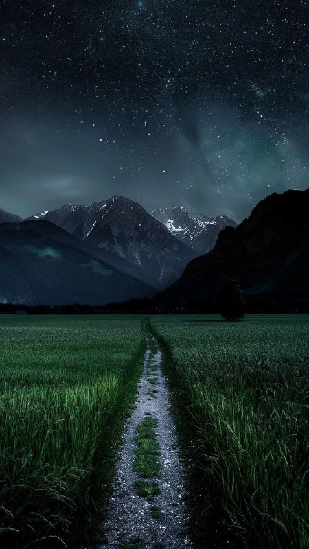 صور HD للتصاميم | photos4designs