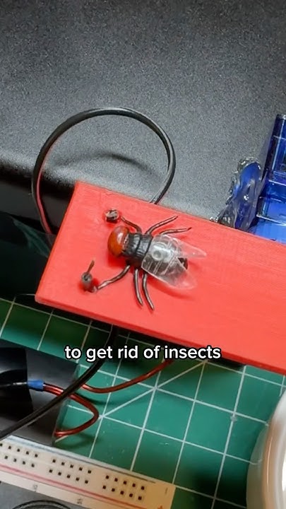 I built a “friendly” fly trap …