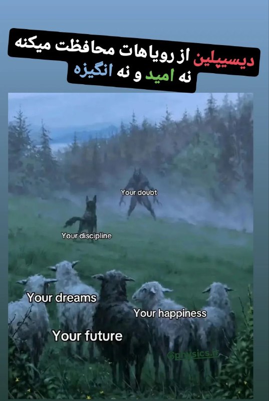 دیسیپلین