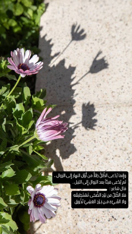 عبدالله بن رحمة