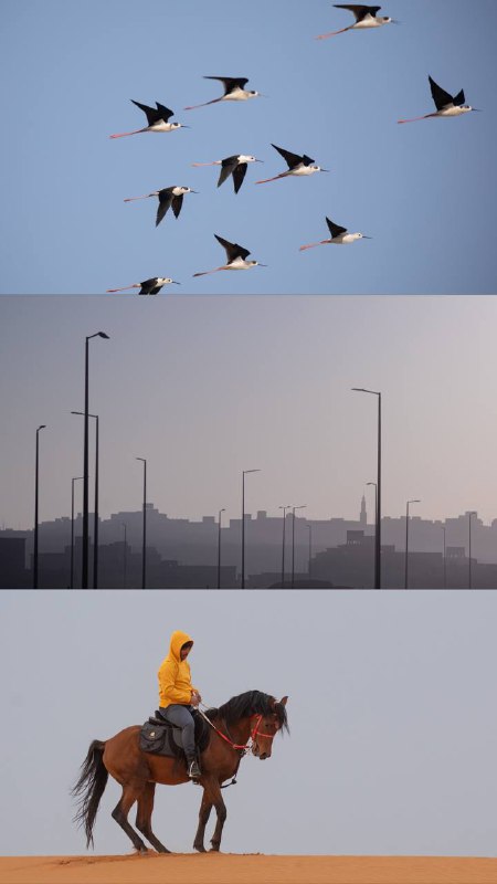 ‏في سَعَةِ الخافِقَينِ مُضطَرَبٌ