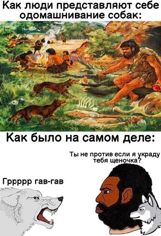 Голубъ🥖