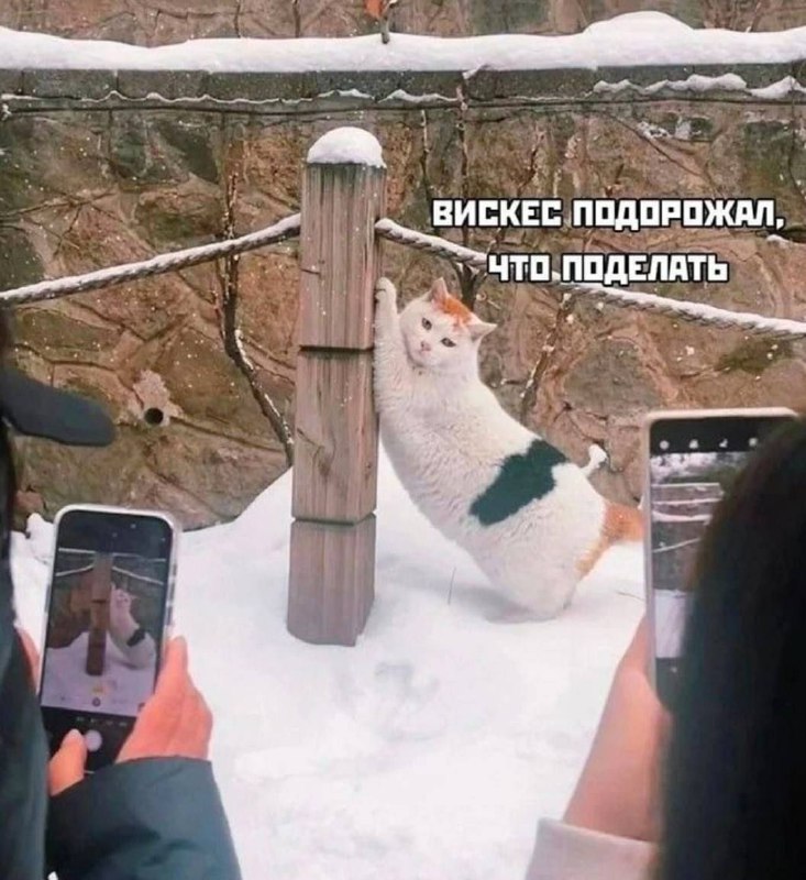 Голубъ🥖