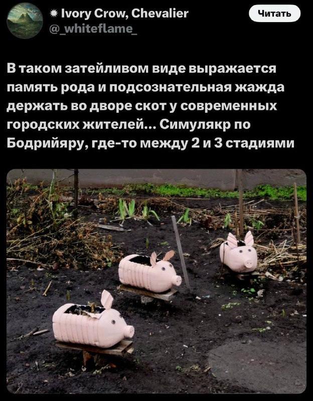 Pigs (three different ones)