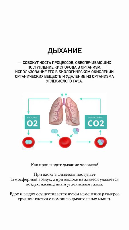 Лови момент