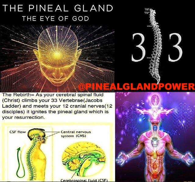 DECALCIFY YOUR PINEAL GLAND. Open your …