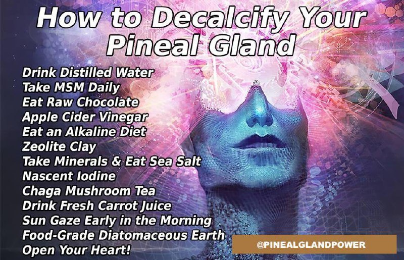 DECALCIFY YOUR PINEAL GLAND. Open your …