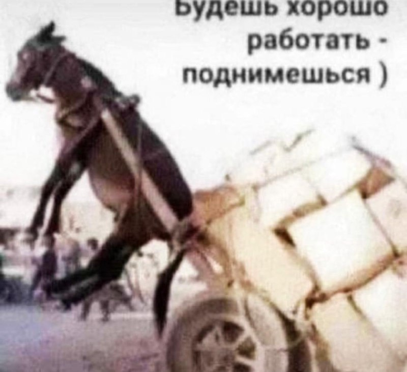 Приколы и Юмор