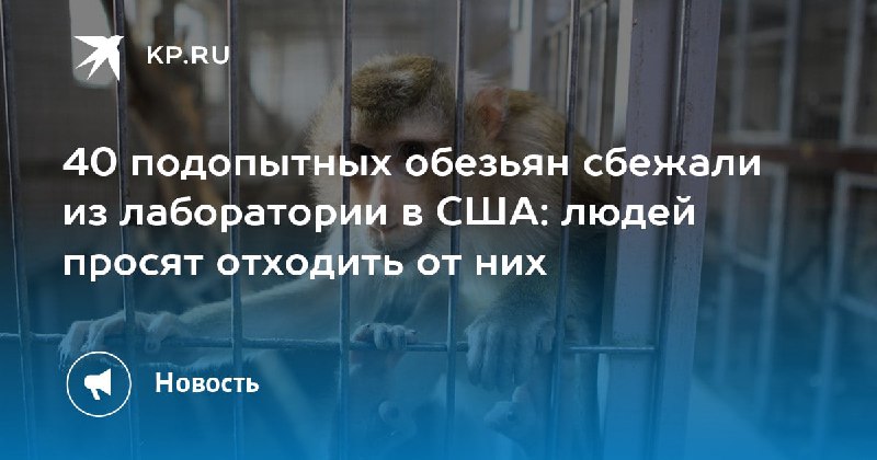 Кажется восстание демократов, началось