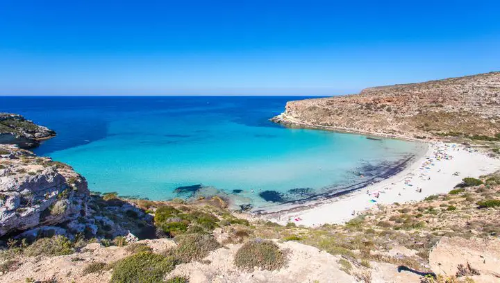 [Lampedusa***☀️******🐢*** volo + hotel + scooter + giro in barca***😍***](https://www.piratinviaggio.it/pacchetti/lampedusa-pacchetti-con-giro-in-barca-scooter-e-tanto-altro)