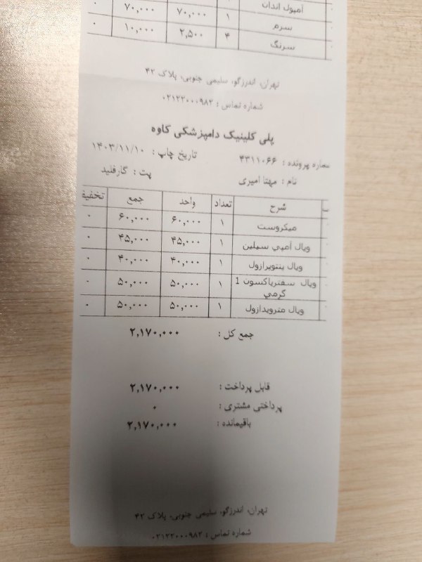 امداد گربه کوچولو (چیکو)
