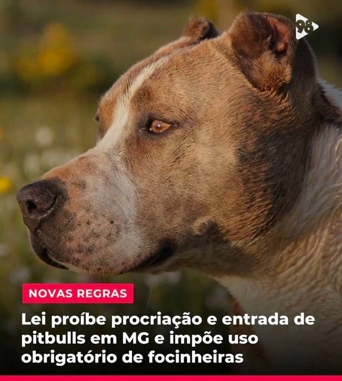 Monstros! Isso é uma imposição desnecessária …