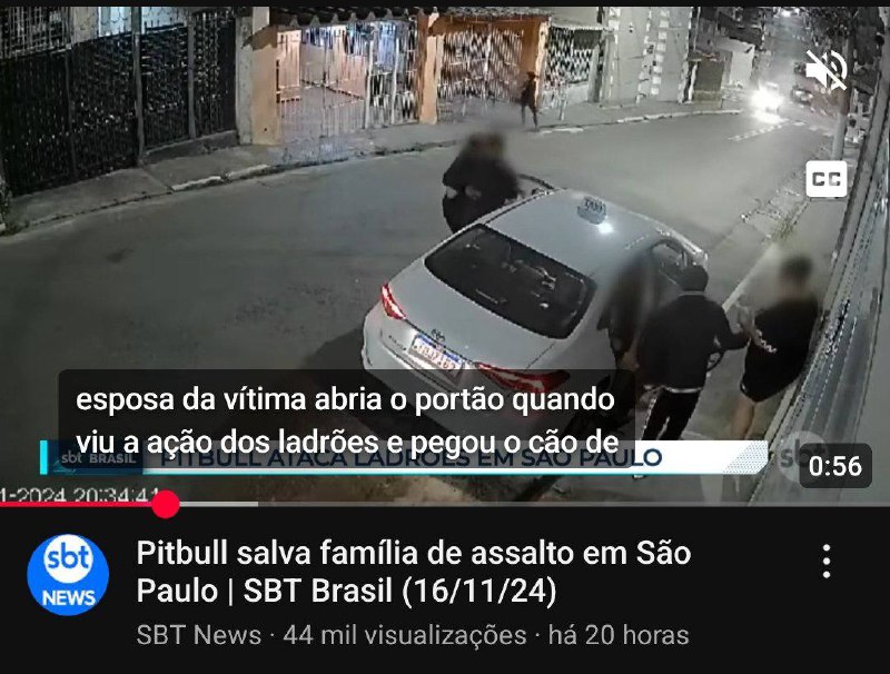 Cadê as pessoas fazendo post para …