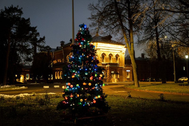 ***🎄***Алексеевская ёлка)***🎄***