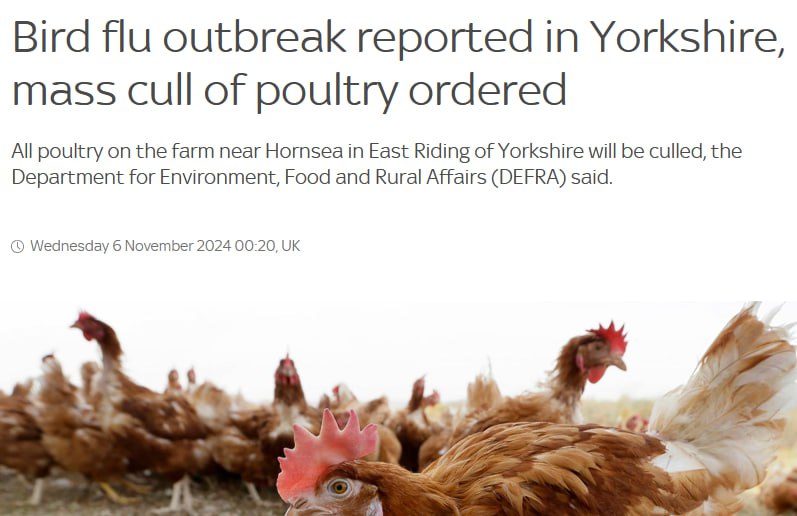 Mass cull of poultry ordered after …