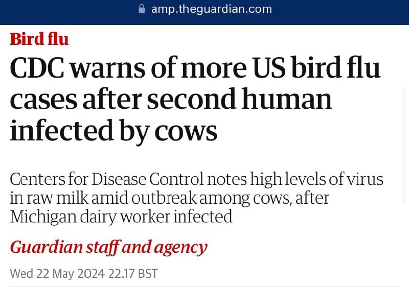 CDC warns of more US bird …