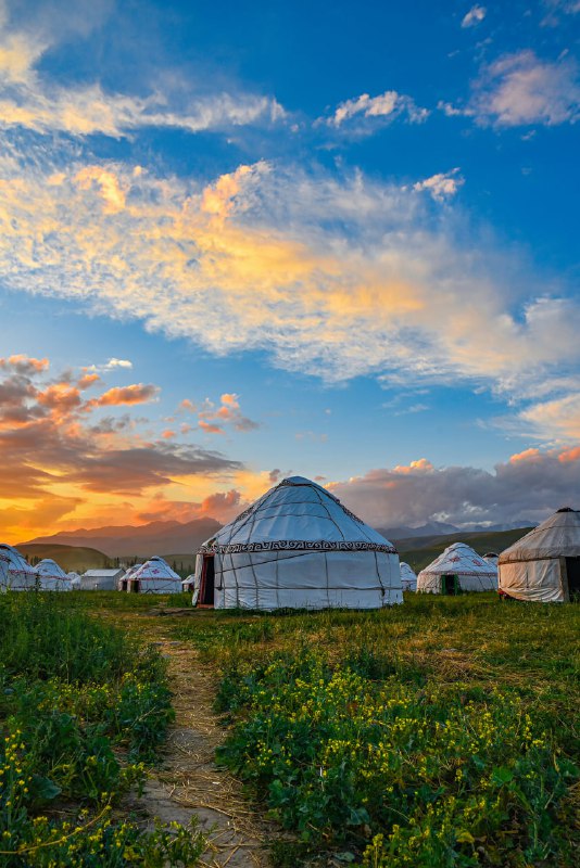 ***📍*****Mongolia** ***🇲🇳***